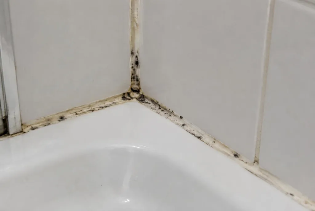 Kitbedrijf IJsselstein – beschimmelde kitranden